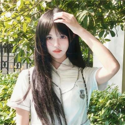 冬森林的秘密