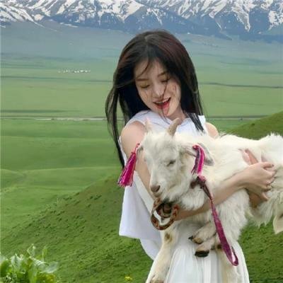 汤姆在农庄